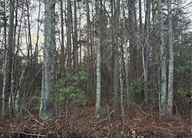 Property at .26+AC Airport Rd, Suffolk, VA 23434
