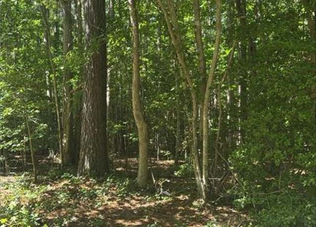 Property at 5.23AC New Hope Ct, Gloucester, VA 23061