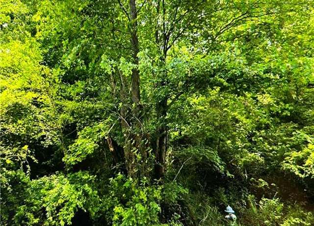 Property at Rt 653 Dutch Rd, Suffolk, VA 23437