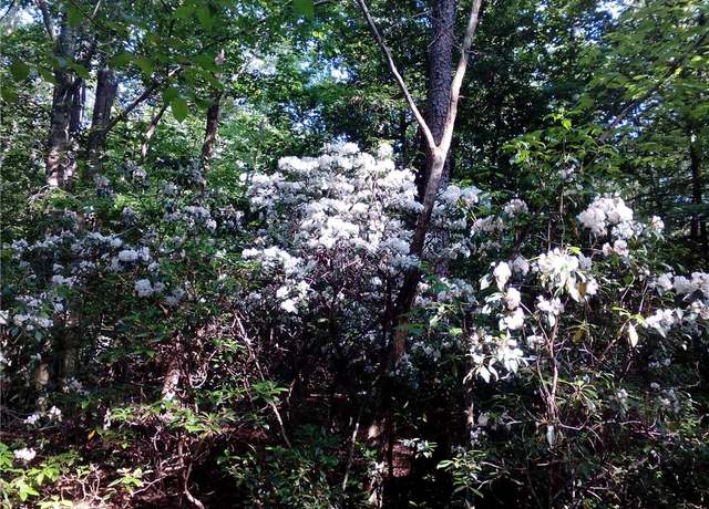 Property at 25+AC Millers Landing Rd, Woods Cross Roads, VA 23190