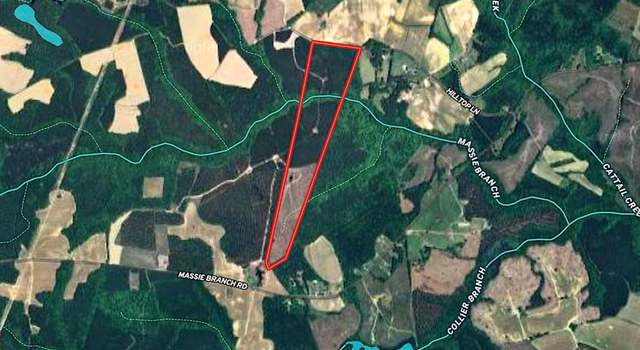 Photo of 70 Acres Hilltop Ln, Skippers, VA 23879