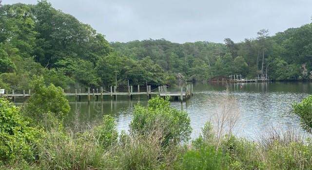 Photo of Lot 23 Chick Cove Dr, Hardyville, VA 23070