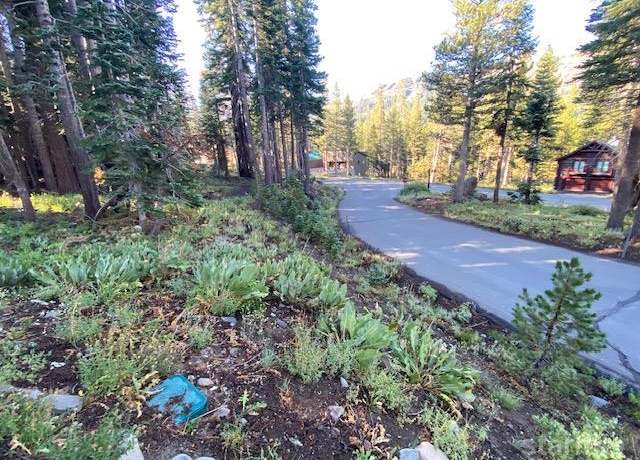 Property at 25 Larkspur Dr #408, Kirkwood, CA 95646