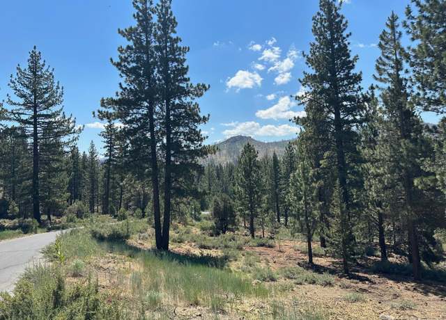 Property at 2 Raymond View Rd, Markleeville, CA 96120