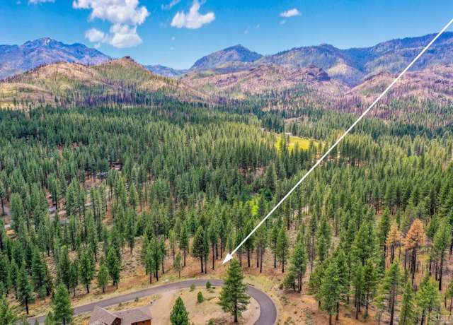 Property at 3 Raymond Vw, Markleeville, CA 96120