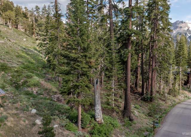 Property at 123 Larkspur Dr #413, Kirkwood, CA 95646