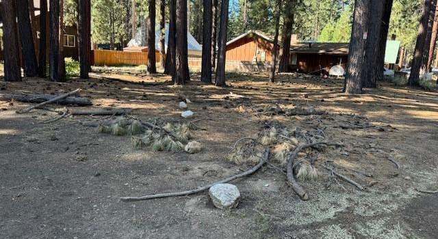 Photo of 2664 Knox Ave, South Lake Tahoe, CA 96150