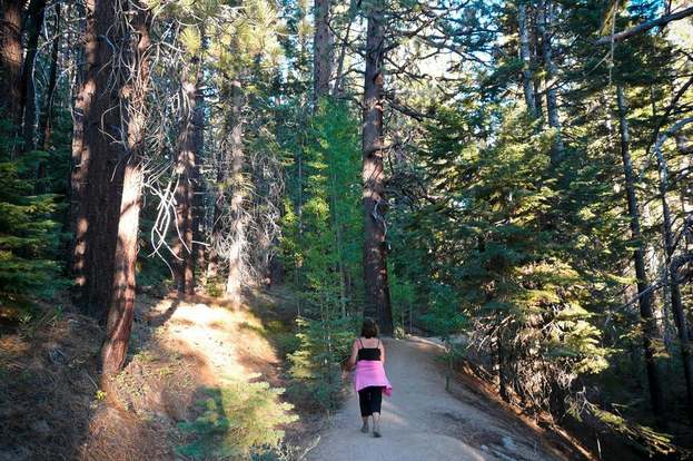 Lupine meadows trail hot sale