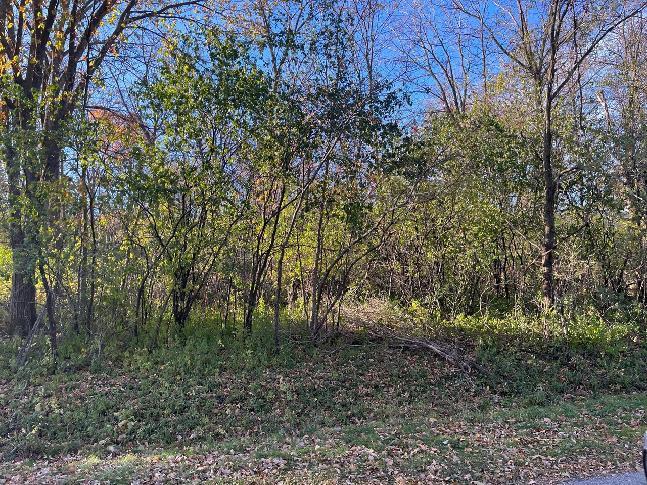 XXXX 18th St SW, Rochester, MN 55902 | MLS# 6274155 | Redfin