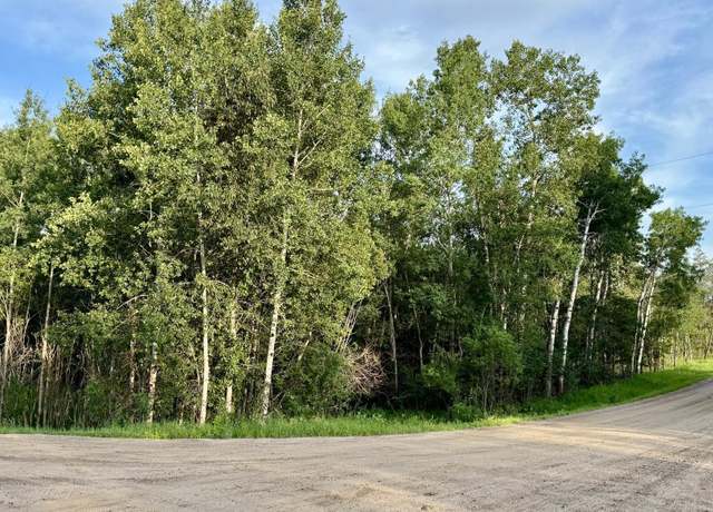 Property at TBD Holly Rd, Park Rapids, MN 56470