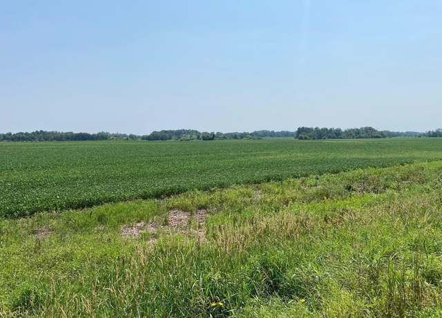 Property at 40525 Highway 65 NE, Stanchfield Twp, MN 55006