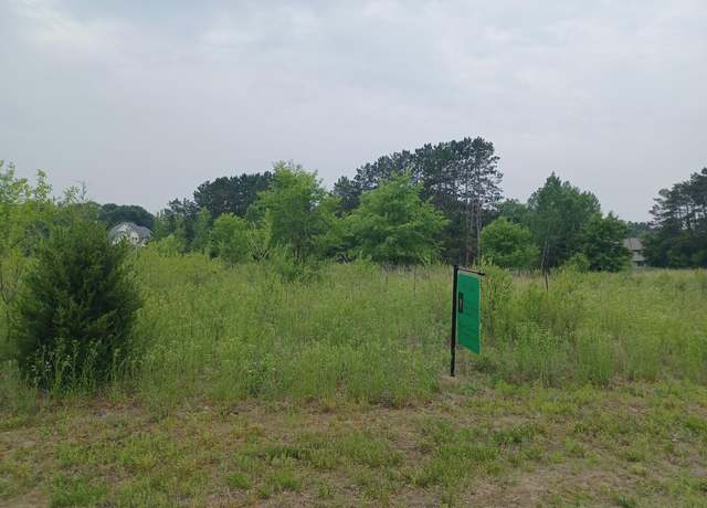 Property at Lot 3 Block 1 Austin St Br NE, Ham Lake, MN 55304