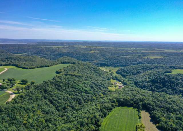 Property at TBD East Burns Valley Rd, Wilson Twp, MN 55987