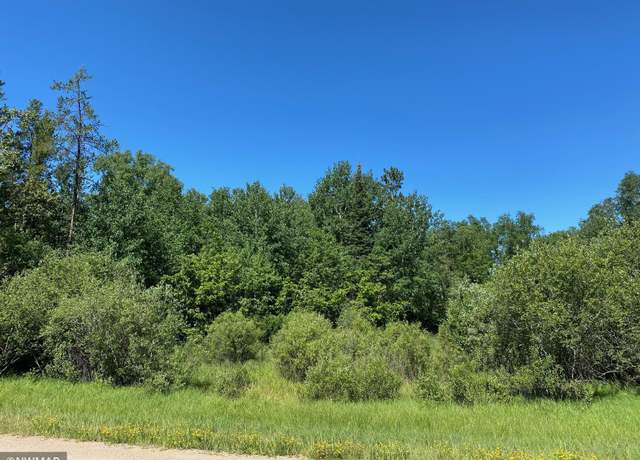 Property at TBD (L11,B2) Grant Hills Rd SW, Bemidji, MN 56601