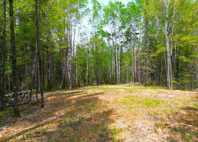 Property at 72XX E Central Lakes Road Lot G, Eveleth, MN 55734