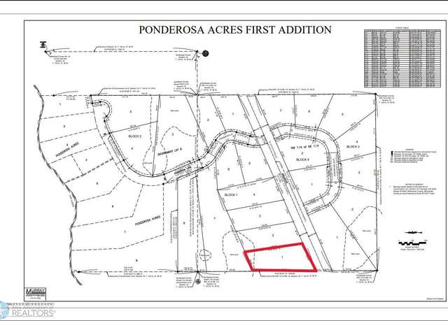 Property at (Lot 1) TBD County Rd 4, Little Elbow Twp, MN 56589