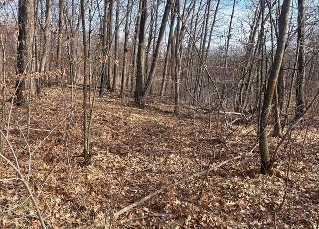 Property at xxx Norway Trl, Cushing, MN 56443