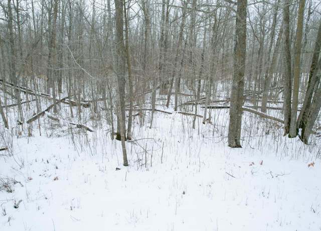 Property at Parcel D Ticonderoga Trl, Hackensack, MN 56452