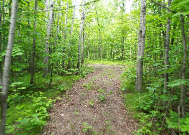 Property at Parcel D Ticonderoga Trl, Hackensack, MN 56452