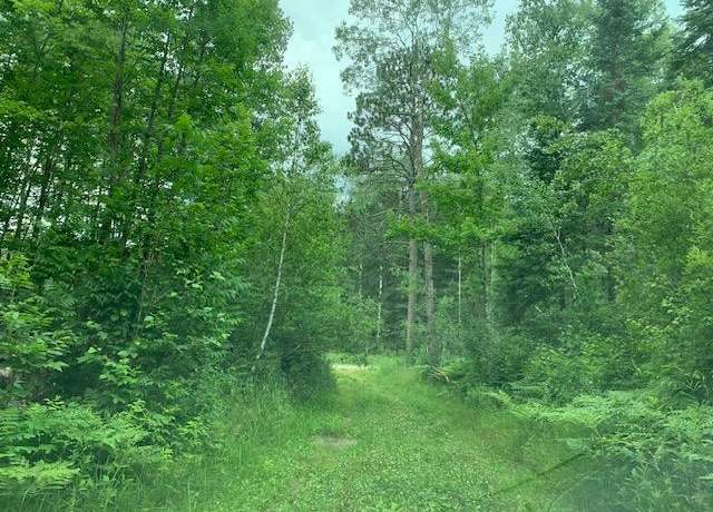 Property at TBD Mushgee Rd, Sand Lake Twp, MN 56636