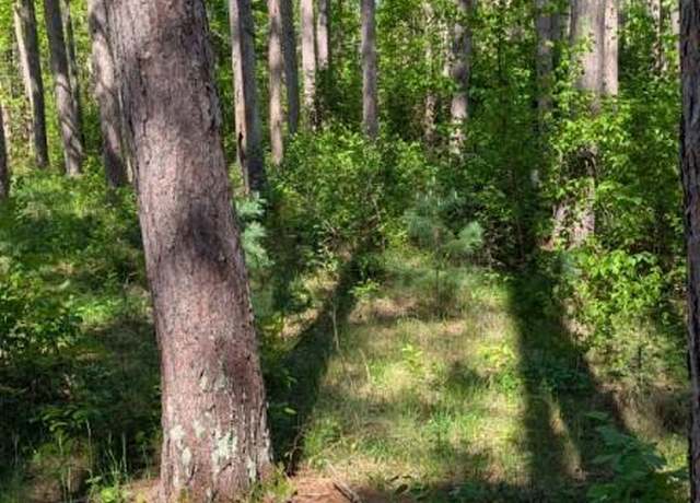 Property at 3823 County Road 17, Pequot Lakes, MN 56472
