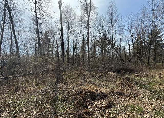 Property at 14XXX Birchwood Trl, Pine City, MN 55063