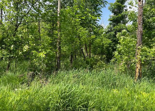 Property at TBD Gumwood Ln, Scandia Valley Twp, MN 56466