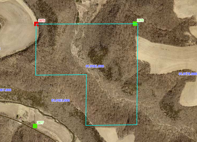 Property at TBD Tbd, Black Hammer Twp, MN 55974