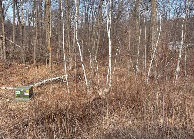 Property at xxx Lake Camile Rd, Cushing, MN 56443