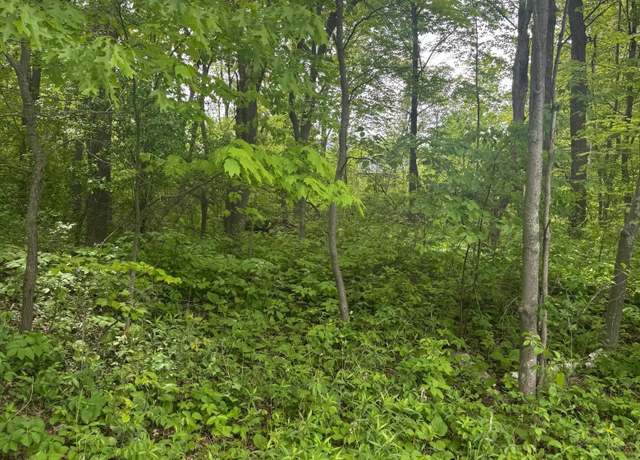 Property at xxxx 241st Ave NE, Linwood Twp, MN 55079