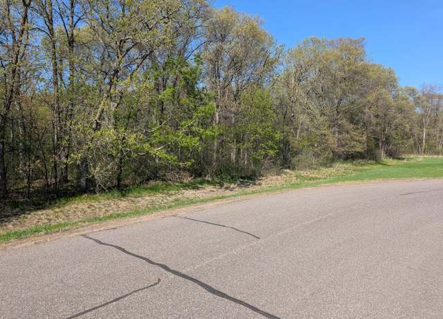Property at TBD Arbor Ln SW, Pillager, MN 56473