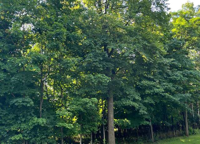 Property at XXX 15th St NE, Menomonie, WI 54751