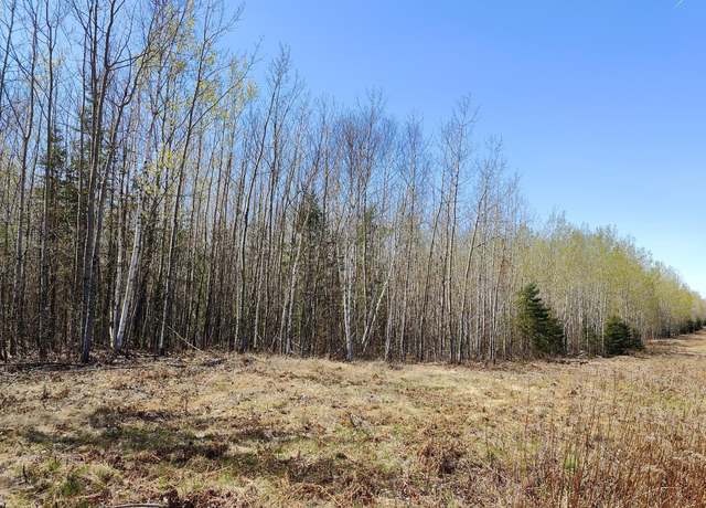 Property at TBD4 Hwy. 115, Greenwood Twp, MN 55790
