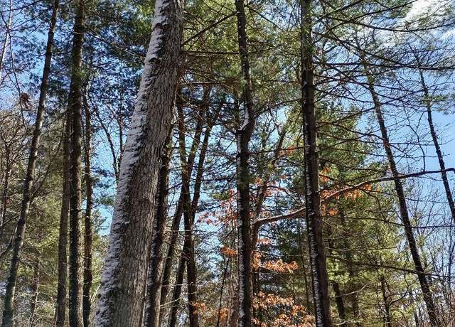 Property at Lot 18 N4XX 297th St, Eau Galle, WI 54737