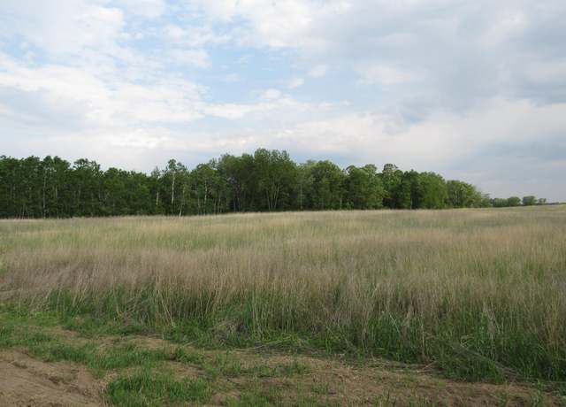 Property at TBD 12th Parcel 9 SW, Backus, MN 56435