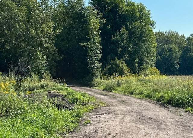 Property at 1002 Hwy 65, Grass Lake Twp, MN 55006