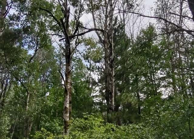 Property at XXXX 159th Ave, Sebeka, MN 56477