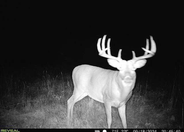 Property at 79.61 acres 83rd Ave SW, Verndale, MN 56481