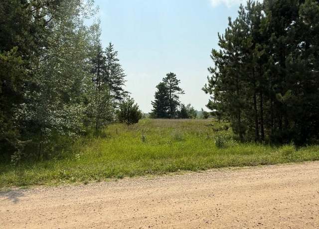 Property at TBD Pony Lake Rd NW, Bemidji, MN 56601