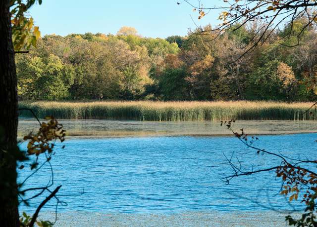 Property at Tract A 575th, Greenleaf Twp, MN 55355