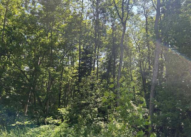 Property at TBD Town Rd 7, Northome, MN 56661