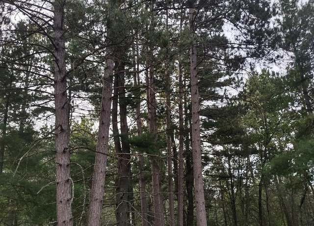 Property at 1XXX Lynx Rd, Barnes, WI 54873