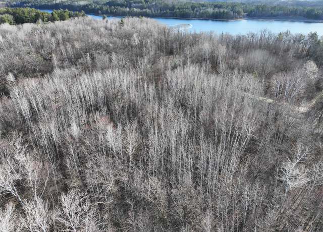 Property at TBD Bass Lake Rd, Osage, MN 56570