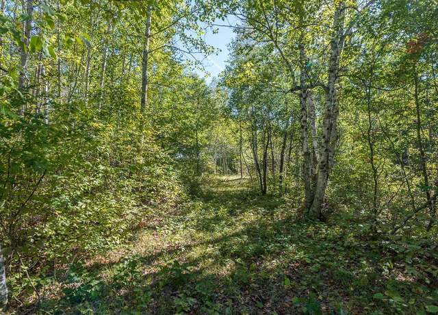 Property at TBD Tract D Little Pine Rd, Brainerd, MN 56401
