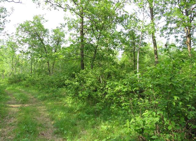 Property at TBD 32nd Ave SW, Backus, MN 56435
