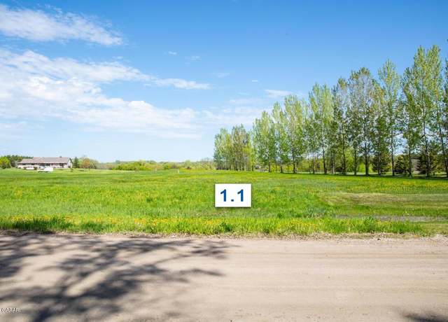 Property at 310 Lot1.1 Mallard Ln, Brandon, MN 56315