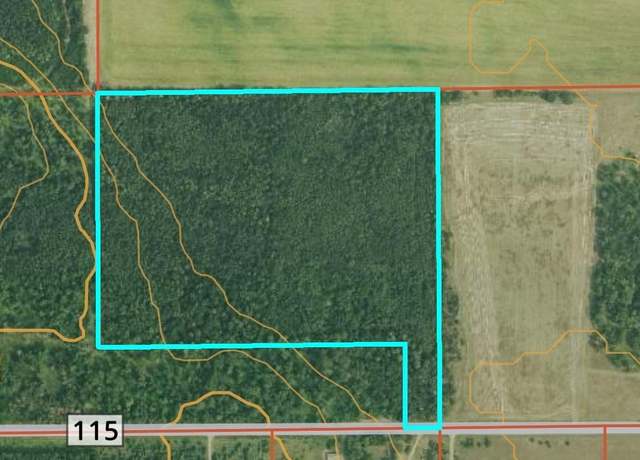 Property at TBD* C.r. #115, Pine River, MN 56474