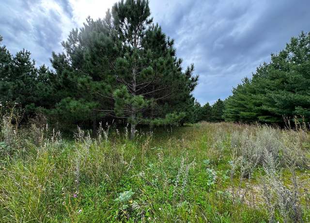 Property at 49928 County Highway 54, New York Mills, MN 56567