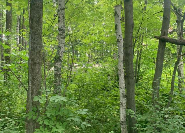 Property at XXX State Hwy 23, Brook Park, MN 55007