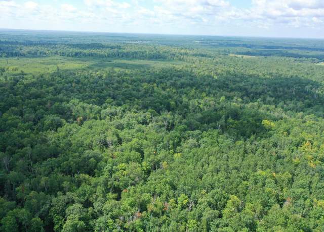 Property at TBD 279th Ave, Laporte, MN 56461